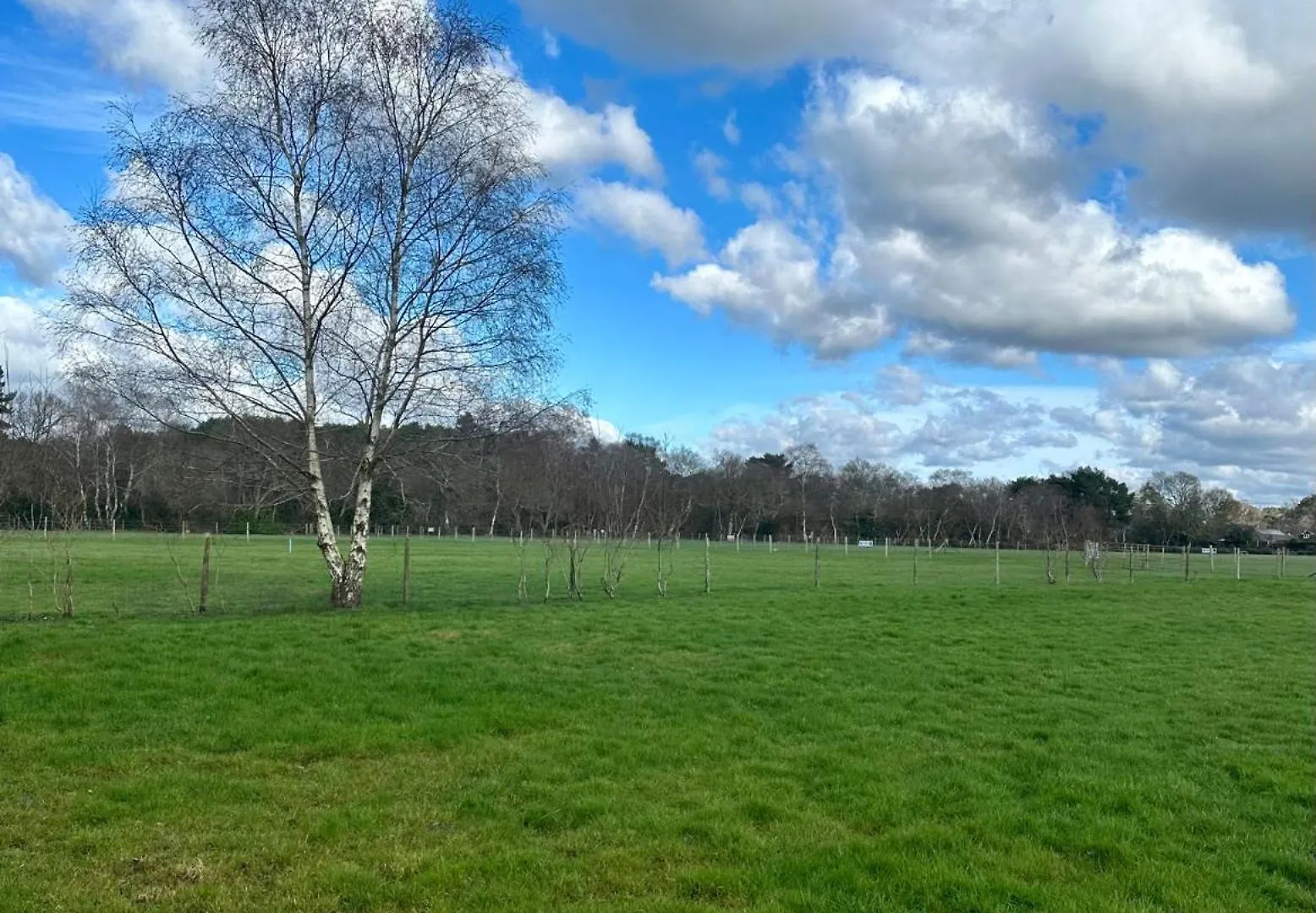 Little Hill Farm Villa Ringwood United Kingdom